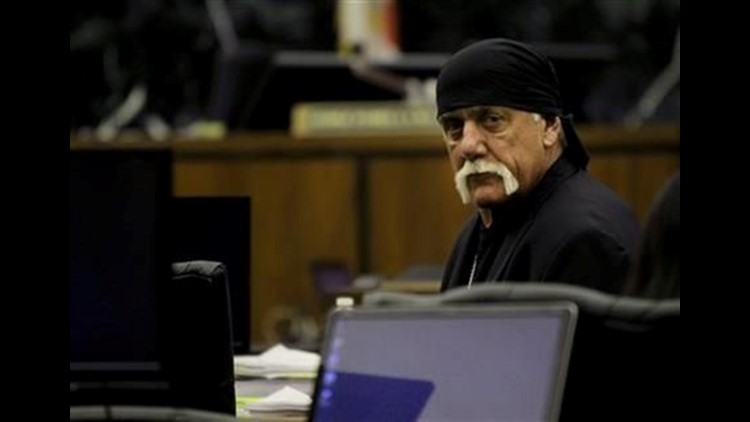 Jury Awards Hulk Hogan Million In Punitive Damages For Posting Sex Tape Hot Sex Picture