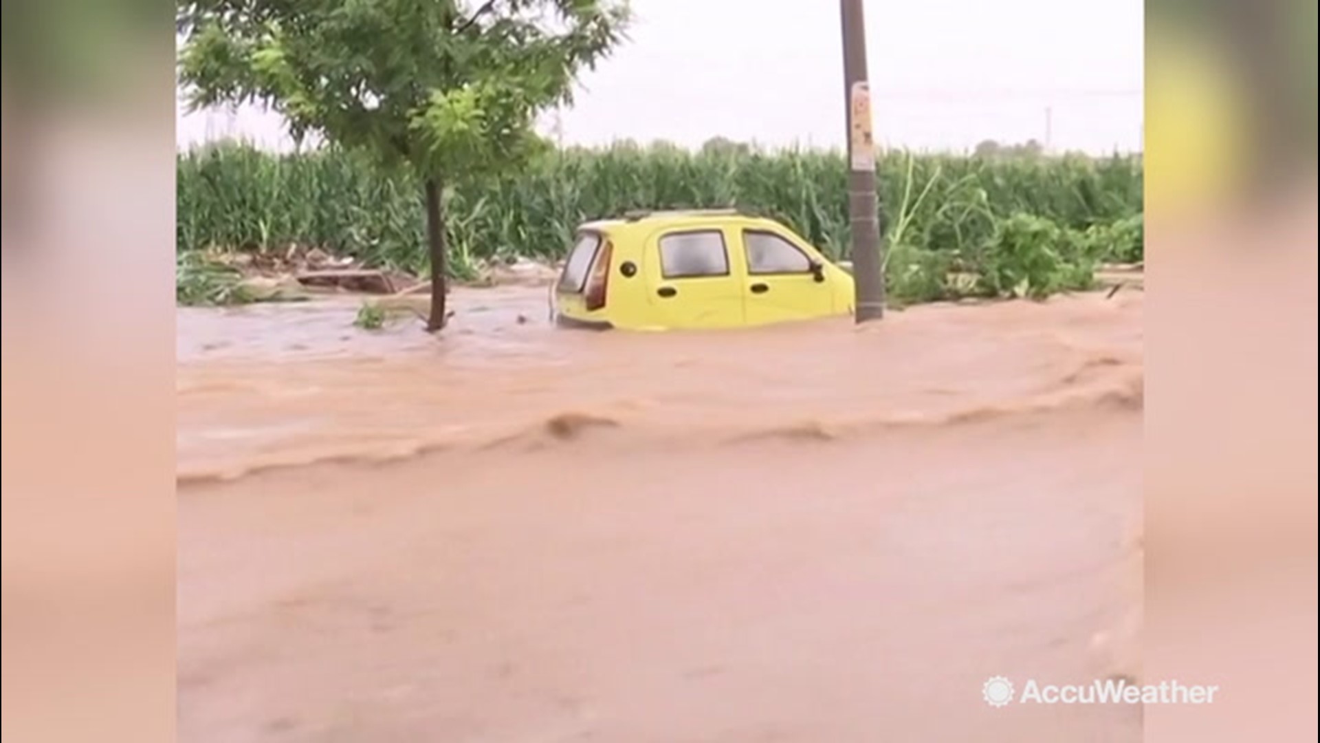 At least five people are dead and seven were still missing on Aug. 12, after Typhoon Lekima lashed China's Shandong Province with heavy rain and strong winds. In total, more than 600 homes reportedly collapsed as streams overflowed their banks and more than 188,000 people have been forced to relocate.