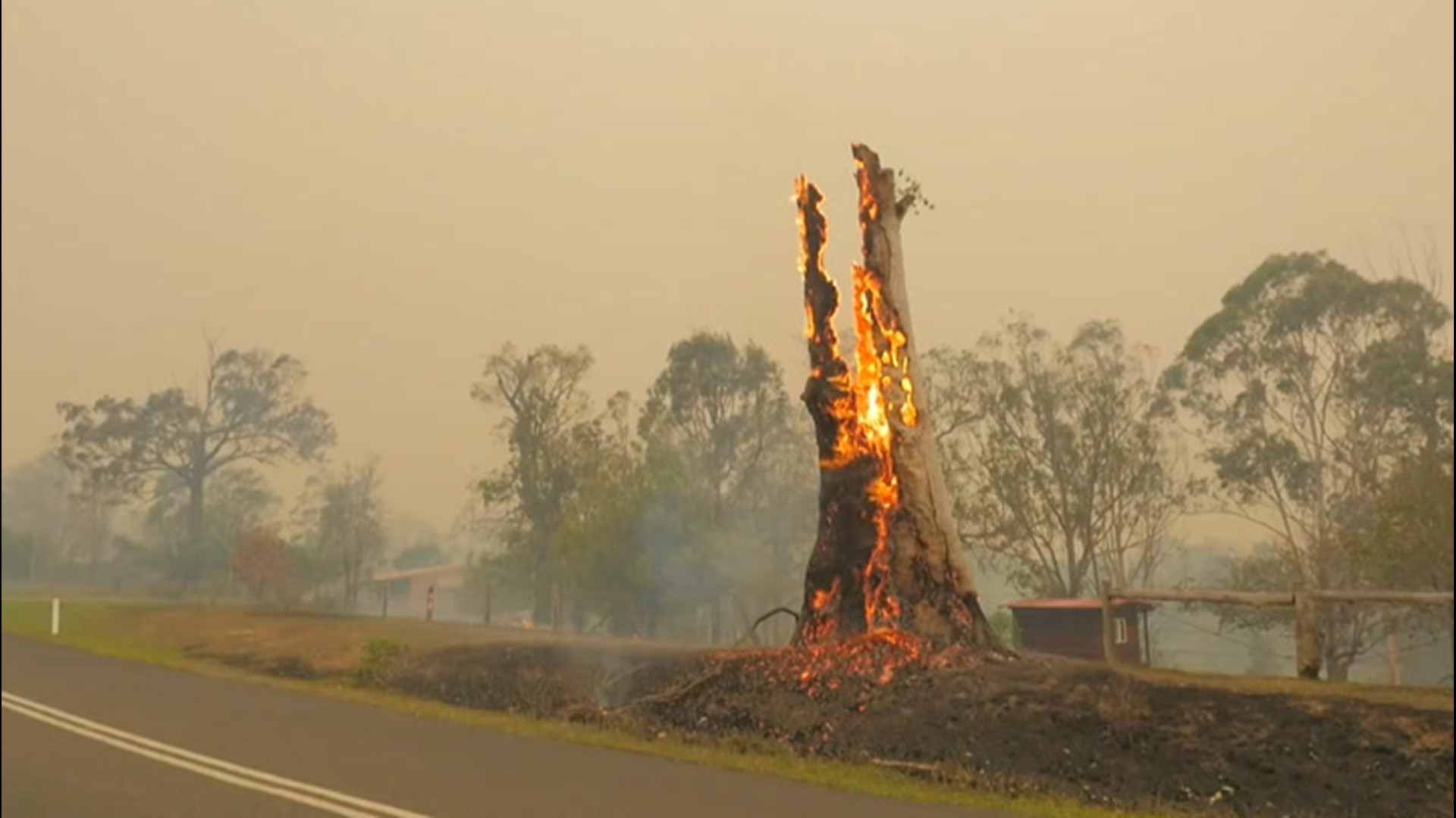 Australians told to be on alert for deadly spider after heat, recent rain