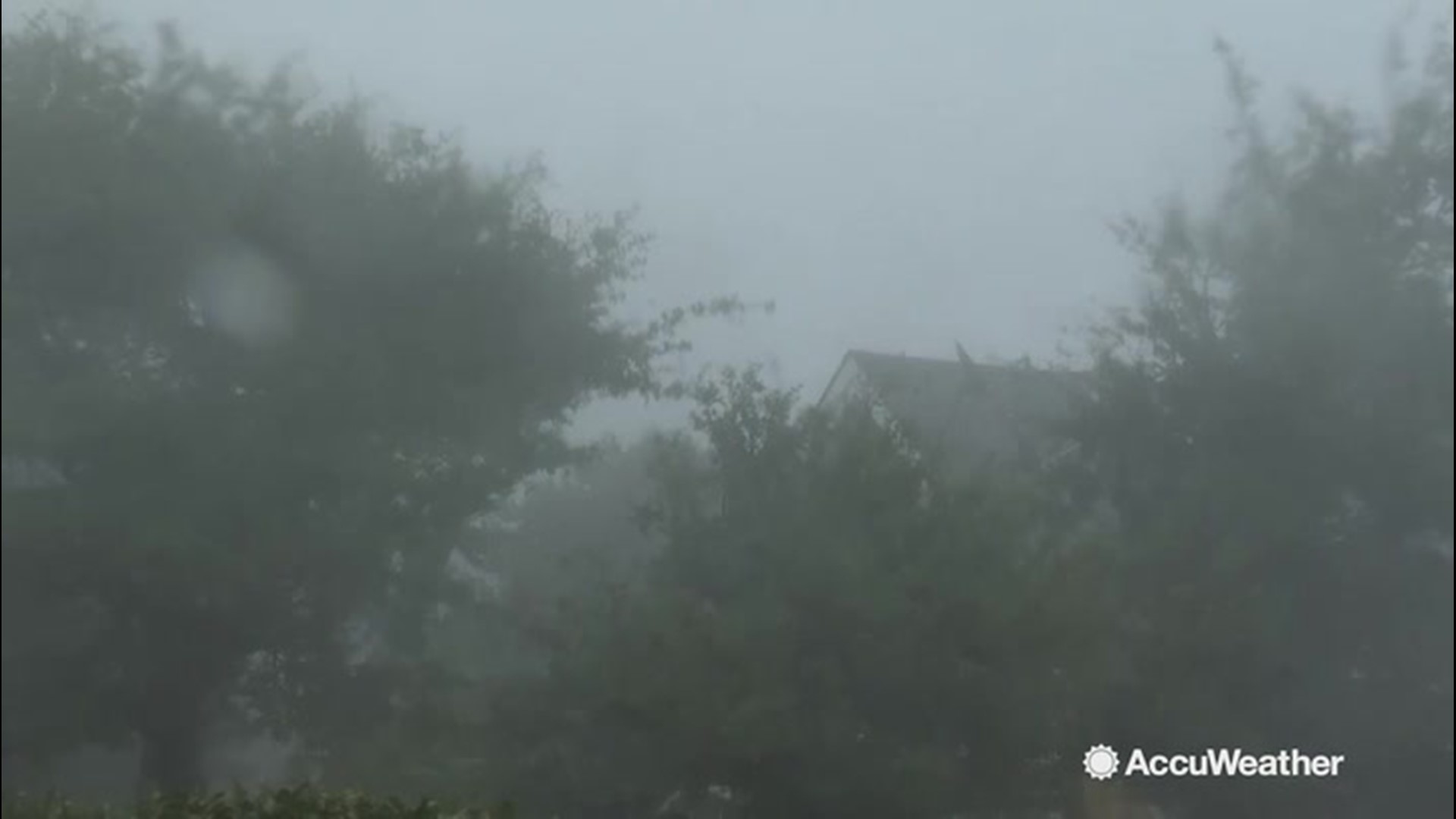 As Hurricane Dorian made landfall near Buxton, North Carolina, on Sept. 6, the surrounding foliage was battered around by the winds coming off the hurricane. Waves grew in size from the strong winds as well.