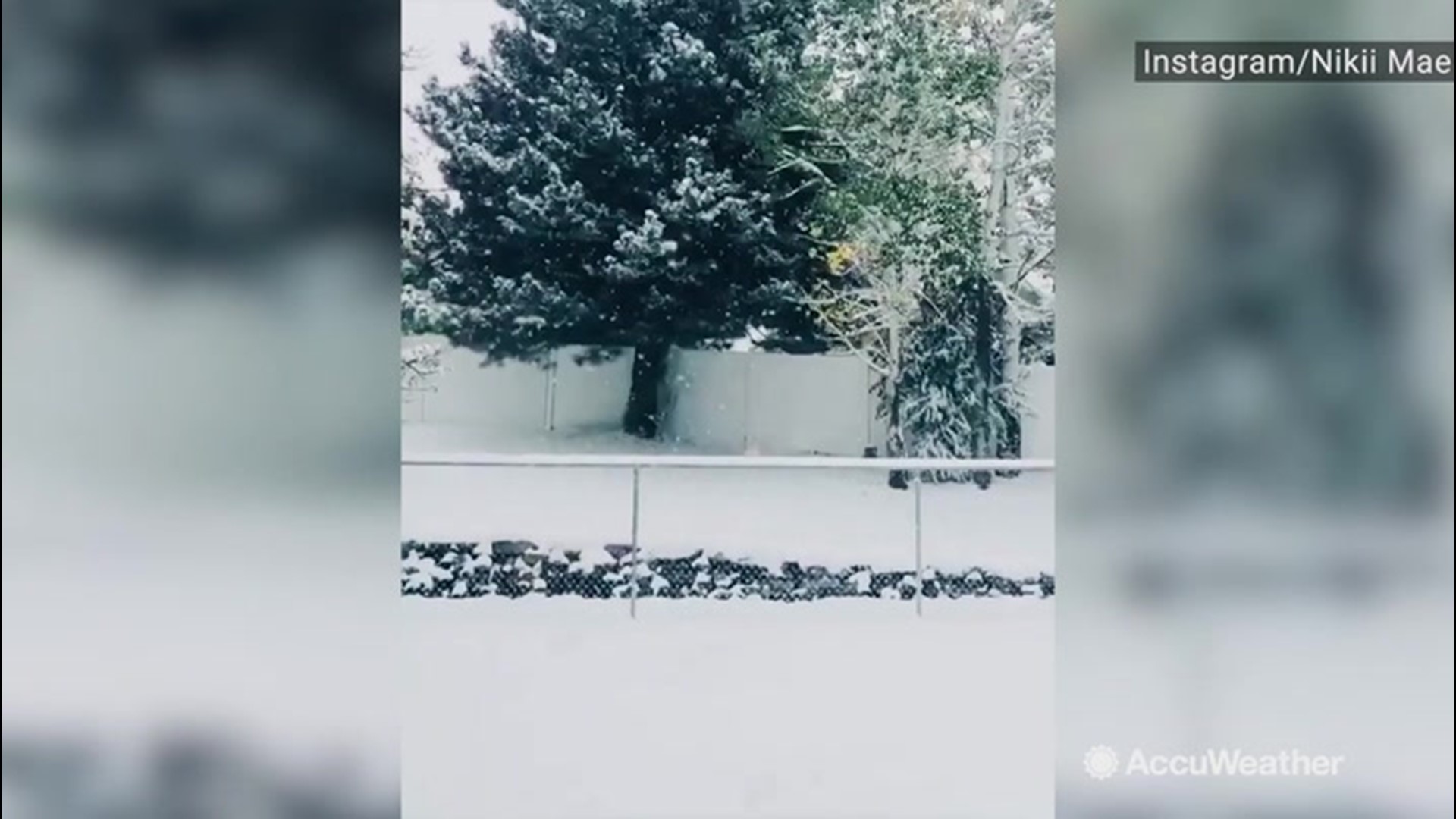 Billings, Montana, received another round of early snowfall on Oct. 9, that left the area looking like a winter wonderland.