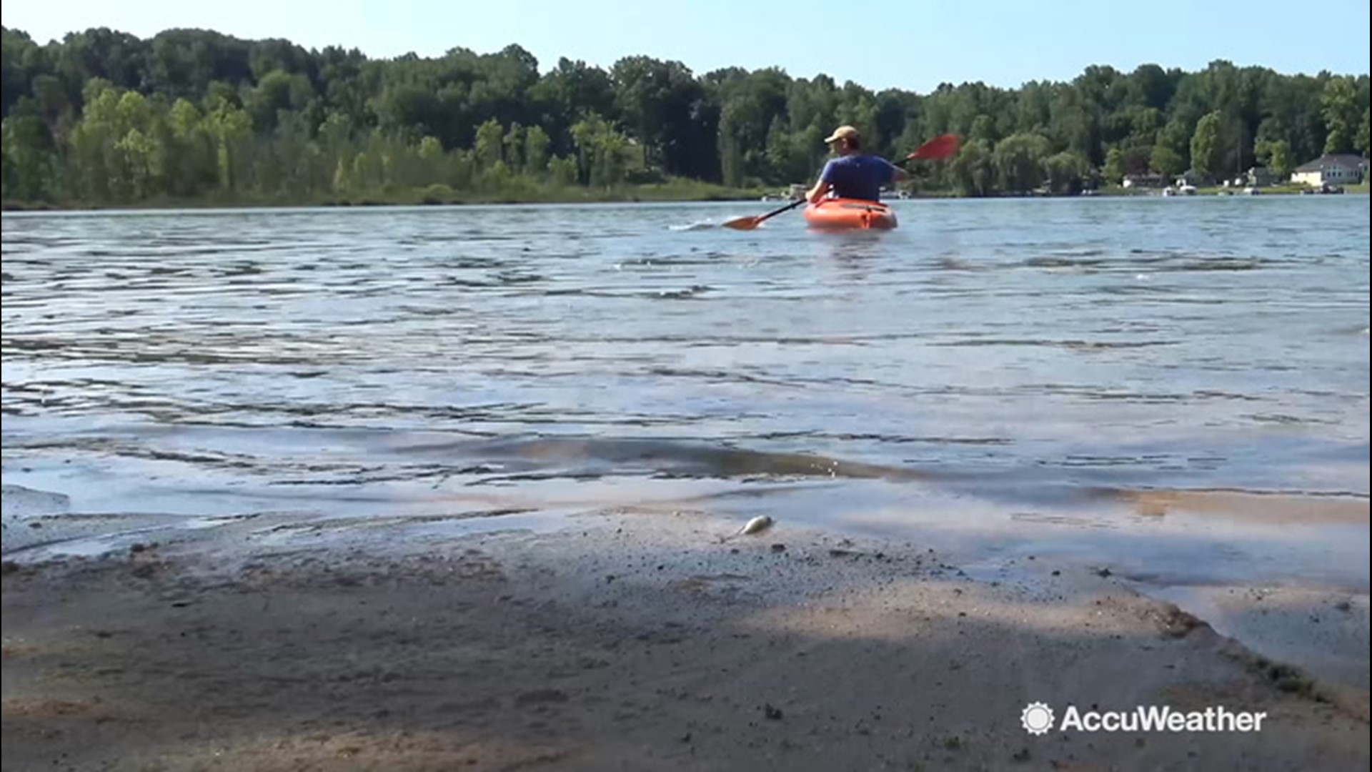 A light wind and temperatures in the upper 70's and low 80's made for near perfect conditions today on Paw Paw Lake in Kalamazoo County, Michigan on August 1.