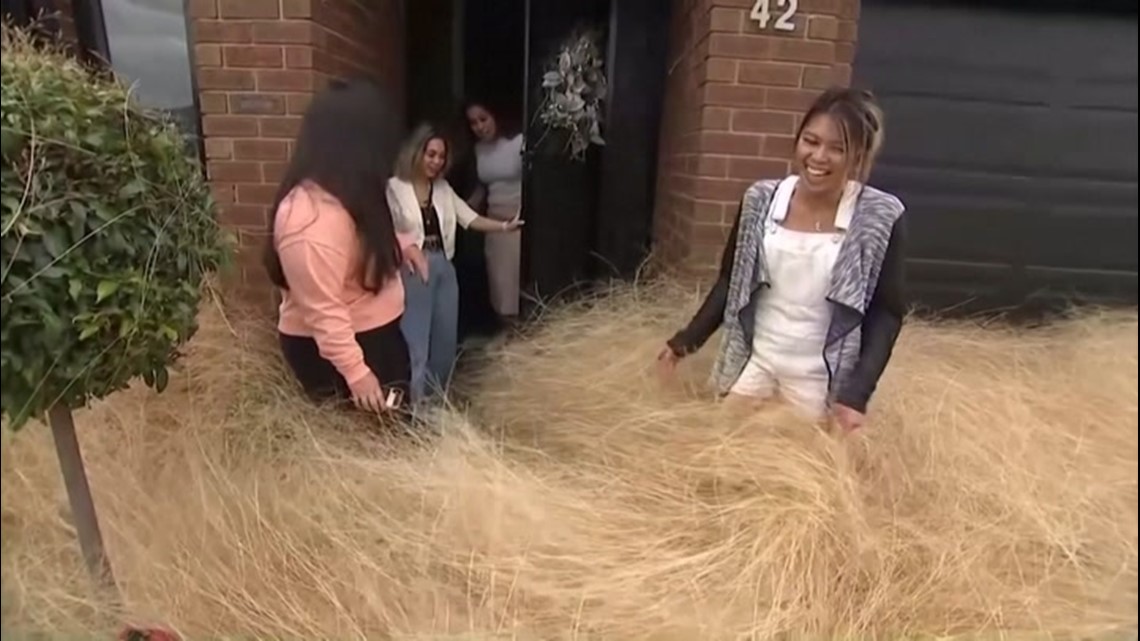 Tumbleweeds take over Australian town