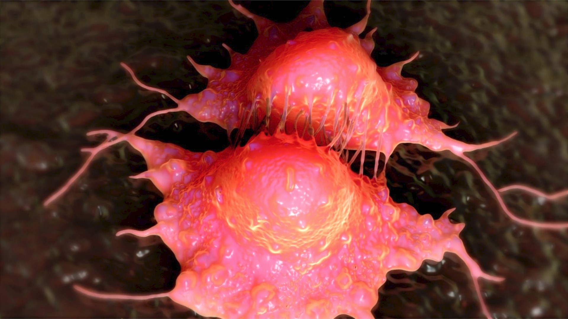 Cancer Cells May Hibernate Like 'Bears' to Evade Chemo ...