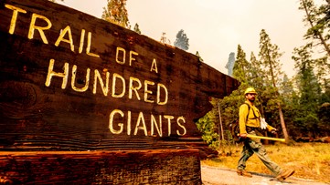 Authorities: Sequoia National Park's Giant Forest not hurt by wildfire