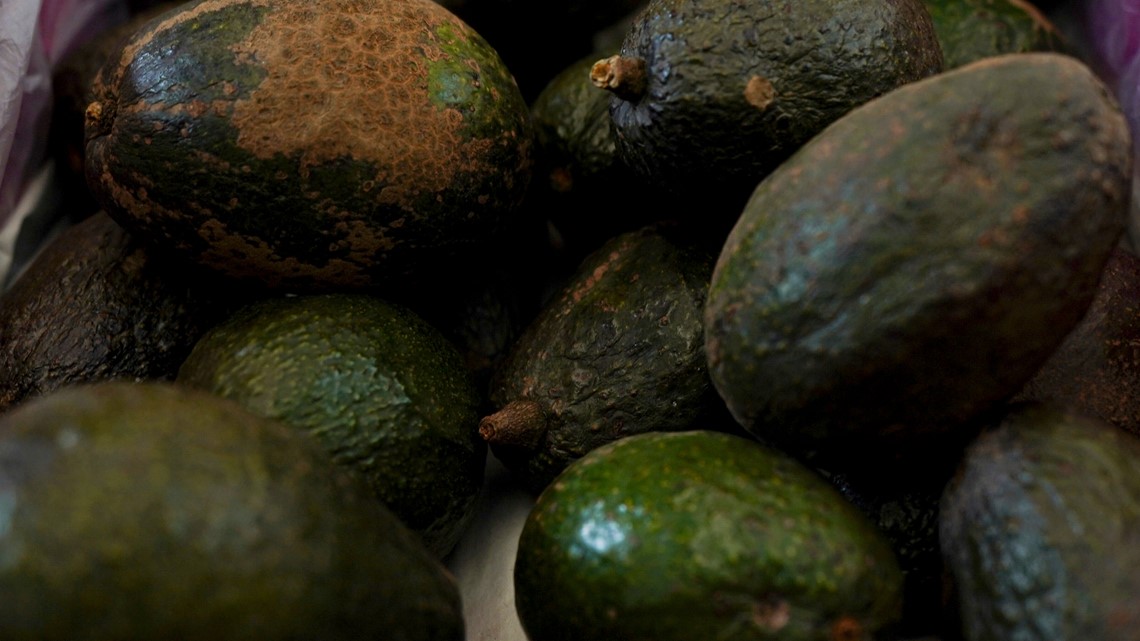 Mexico’s president claims conspiracy in US avocado ban.