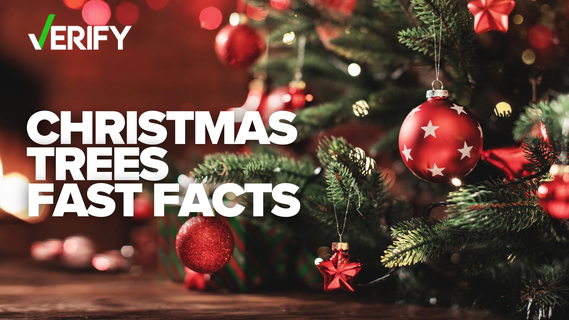 Can artificial trees trigger allergies? Can you add something to water to keep your tree fresh longer? Are Christmas trees recyclable? Here's what we can VERIFY.