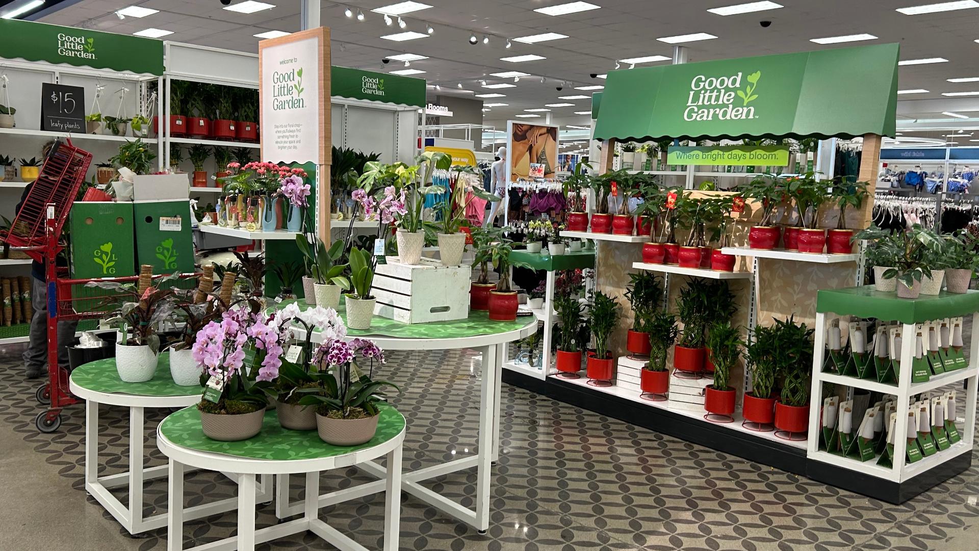 Target is lowering prices on over 3,000 products this spring | cbs8.com