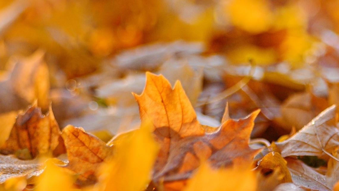 When Does Fall Start In 2022 Autumn Equinox Cbs8 when-does-fall-start-in-2022-autumn-equinox-cbs8