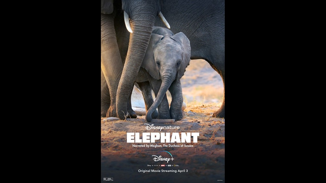Disney Teases Meghan Markle's Voice Debut as Narrator of 'Elephant