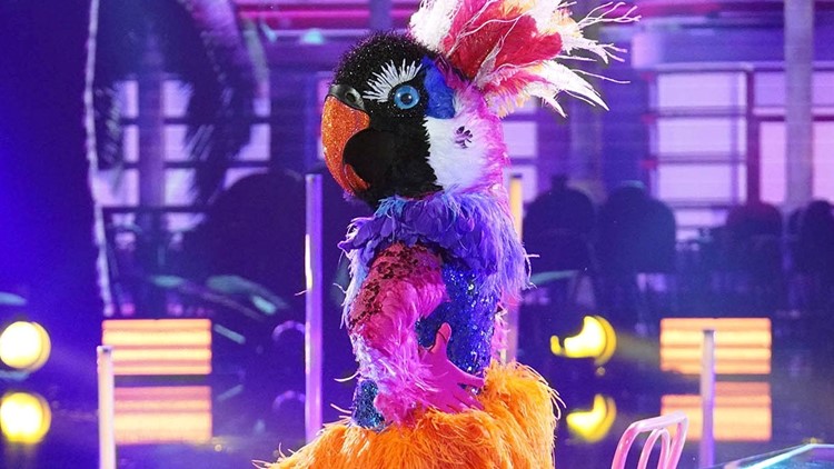 'Masked Dancer': Exotic Bird Gets Her Wings Clipped -- See What Music ...