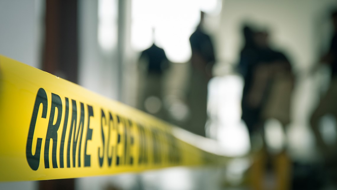 Police arrest suspects in Vista bombings - Vimarsana News