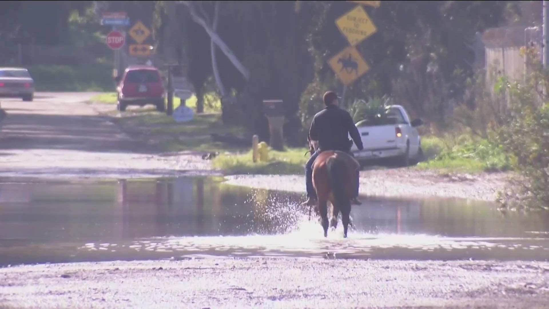 The horses are now safe after rising water flooded ranches across the Tijuana River Valley this weekend.