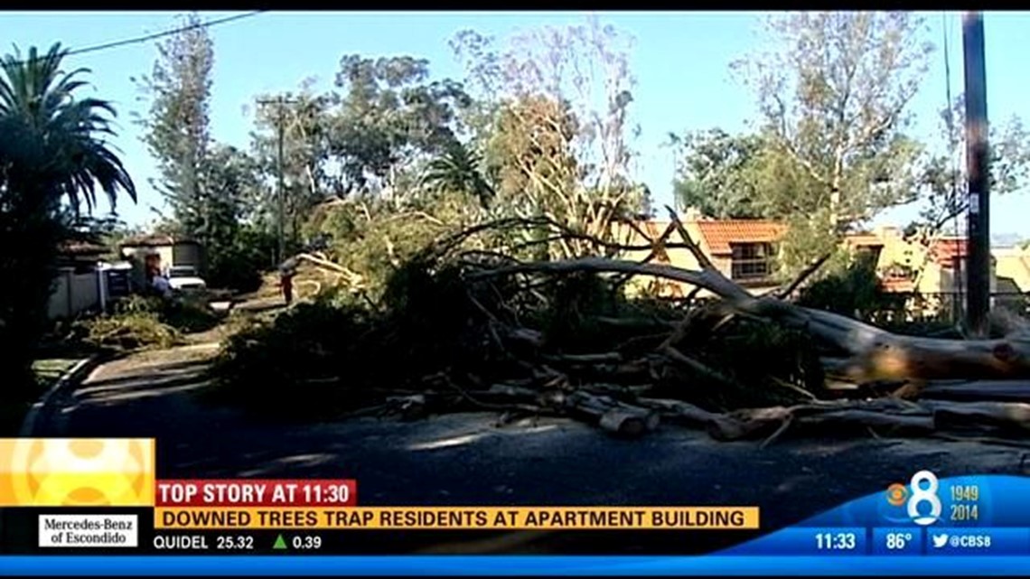 Downed Trees Trap Residents At Apartment Building