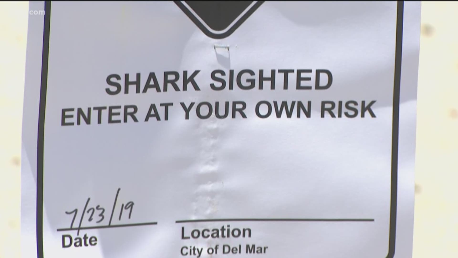 For a third day in a row, a roughly 6-foot shark -- believed to be a juvenile great white -- was spotted off the coast of Del Mar Wednesday, a city official said.