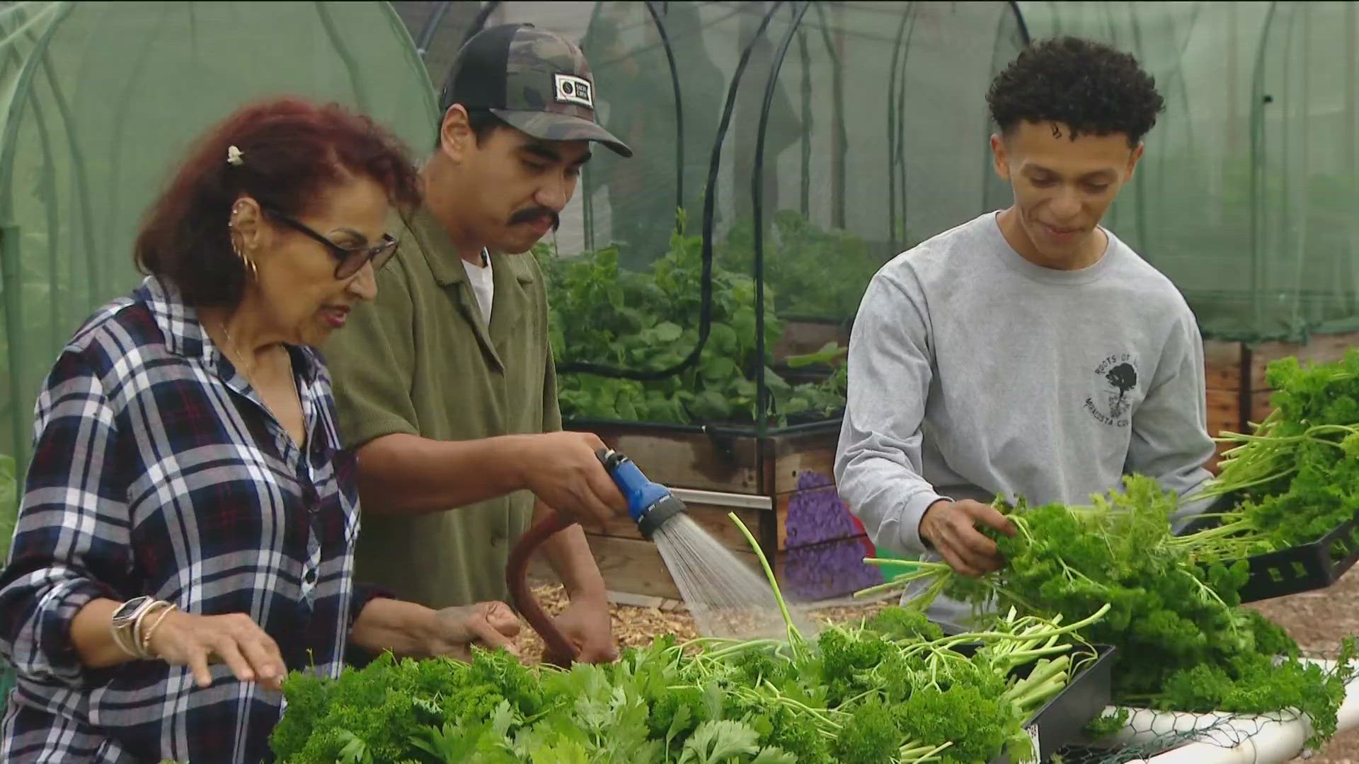 A garden program at MiraCosta College is helping formerly incarcerated and system-impacted students rebuild their lives.