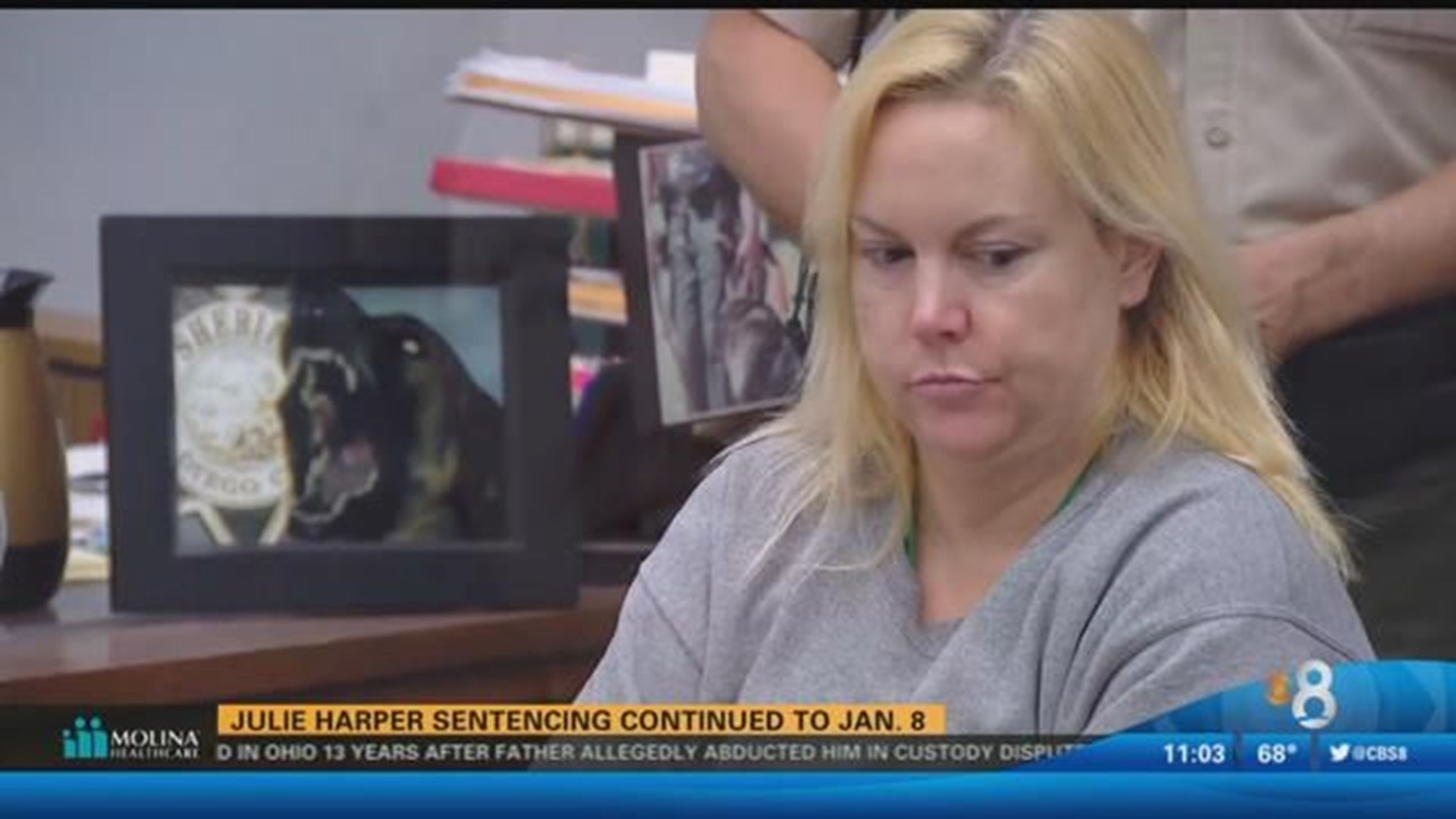 Julie Harper sentencing continued to January 8 | cbs8.com