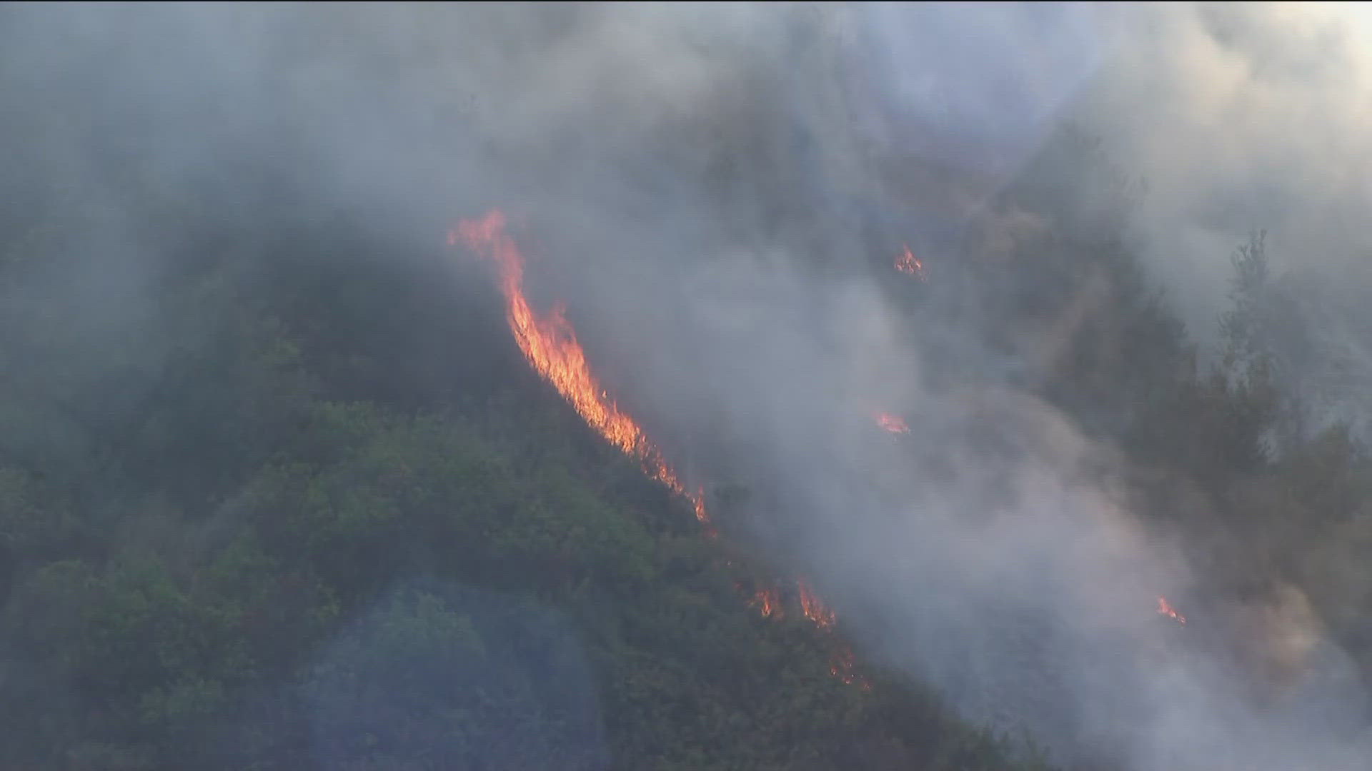 Fire crews battle brush fire in Clairemont | cbs8.com