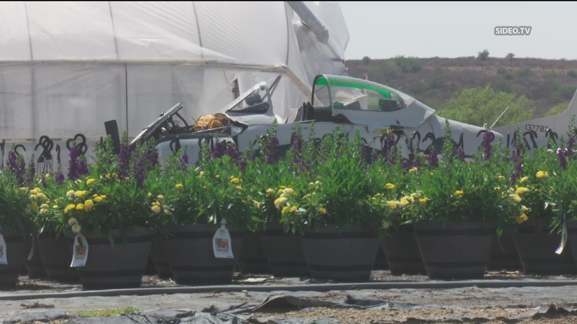 Passenger killed in Fallbrook small plane crash identified | cbs8.com