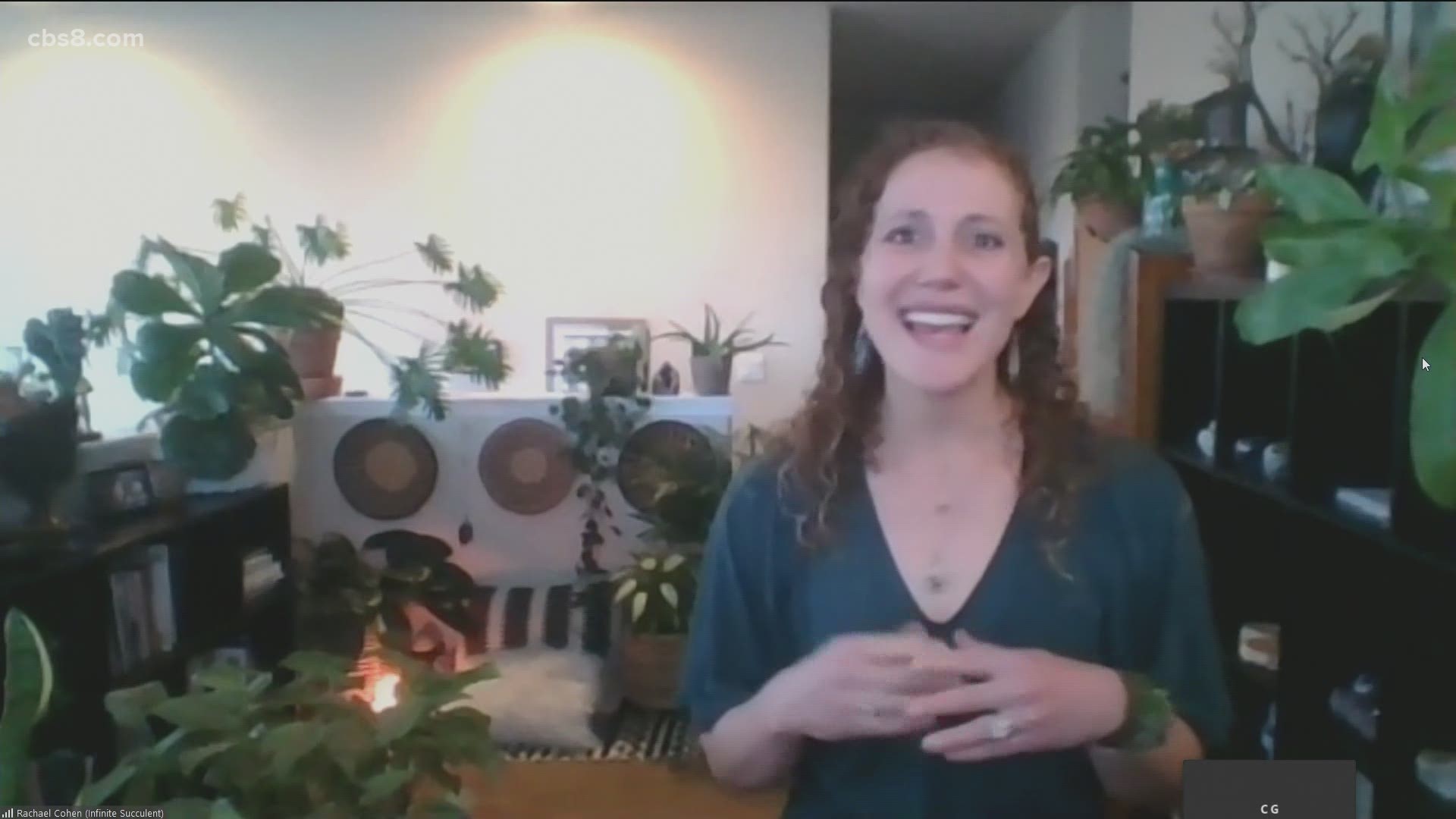 Rachael Cohen author, energy worker and the creator and owner of "Infinite Succulent" has been healed by nature and is helping others.