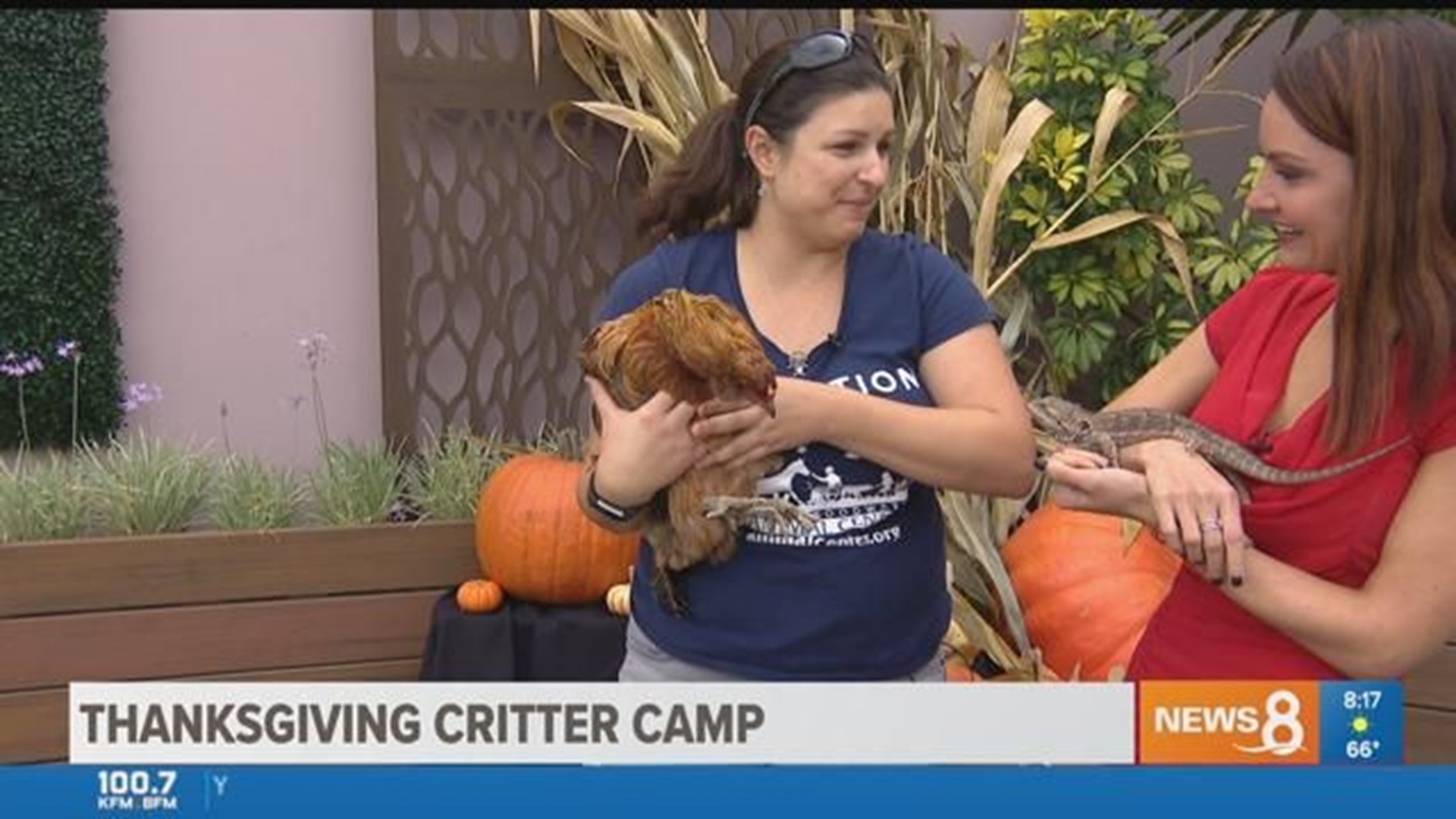 Thanksgiving Critter Camp at Helen Woodward Animal Center cbs8com