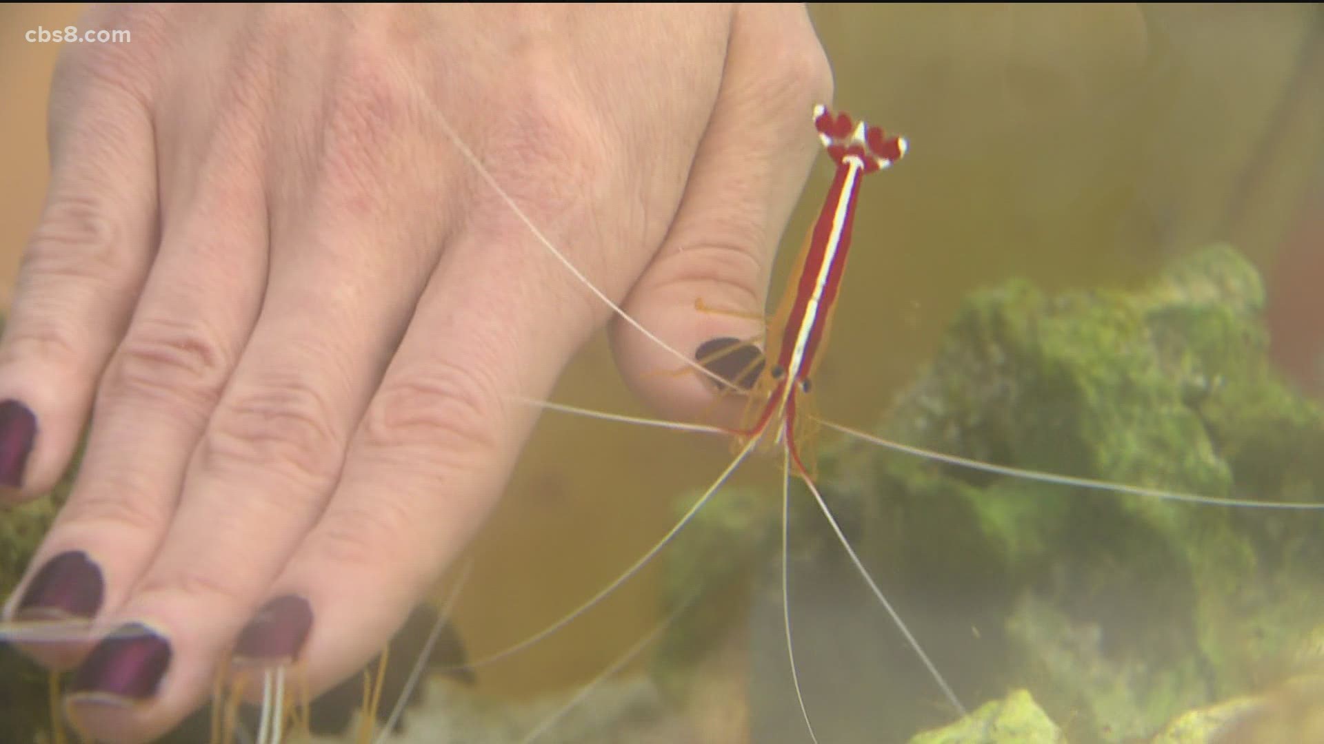 Haunted Aquarium Remix takes the spooky science fun and mixes things up outdoors.