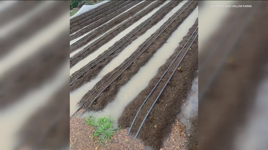 Wild Willow Farm still recovering after floodwaters destroyed their crops