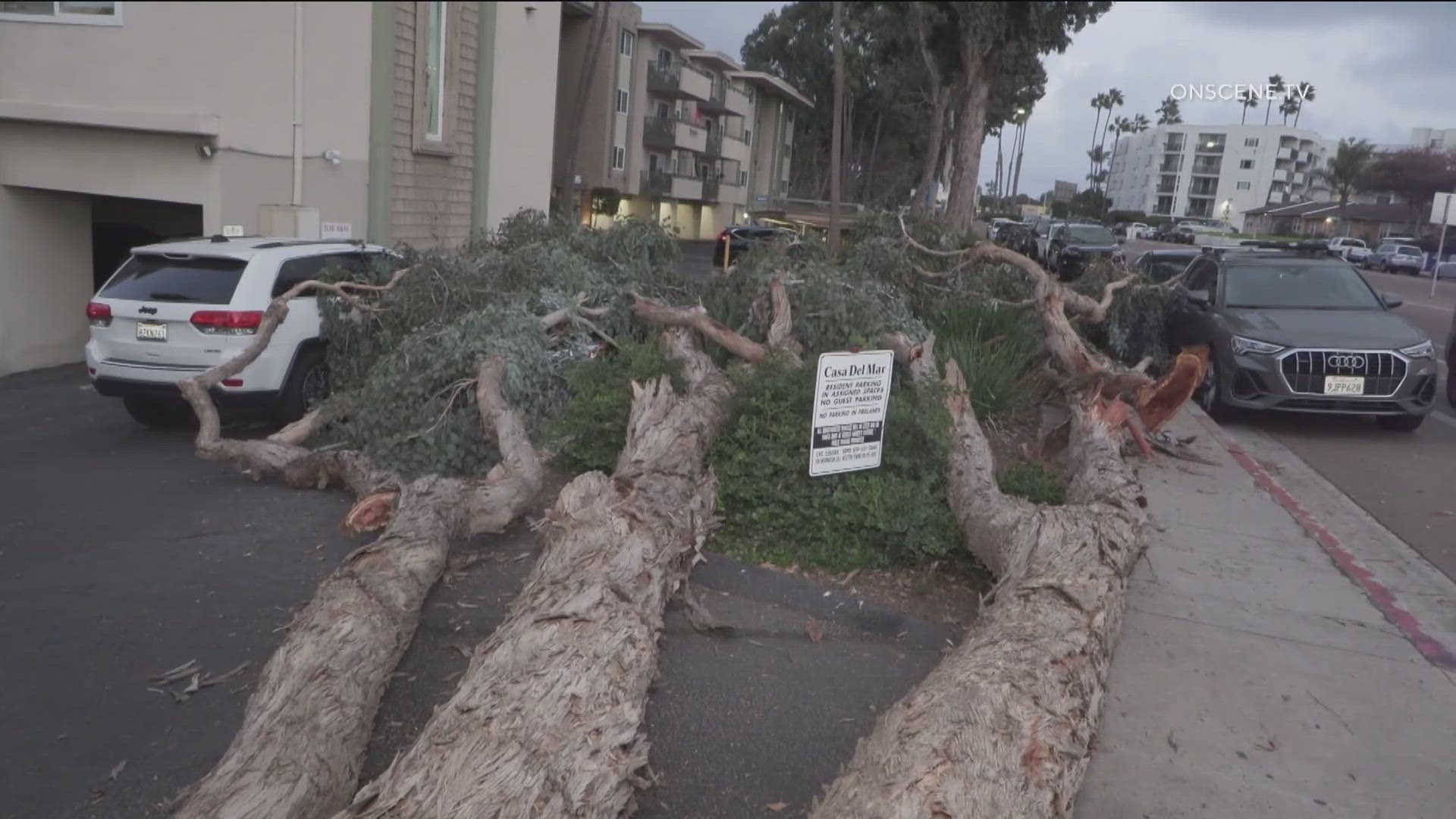 There have been downed trees around the county, including at the north end of Pacific Beach as you head into La Jolla where a tree fell on several cars.