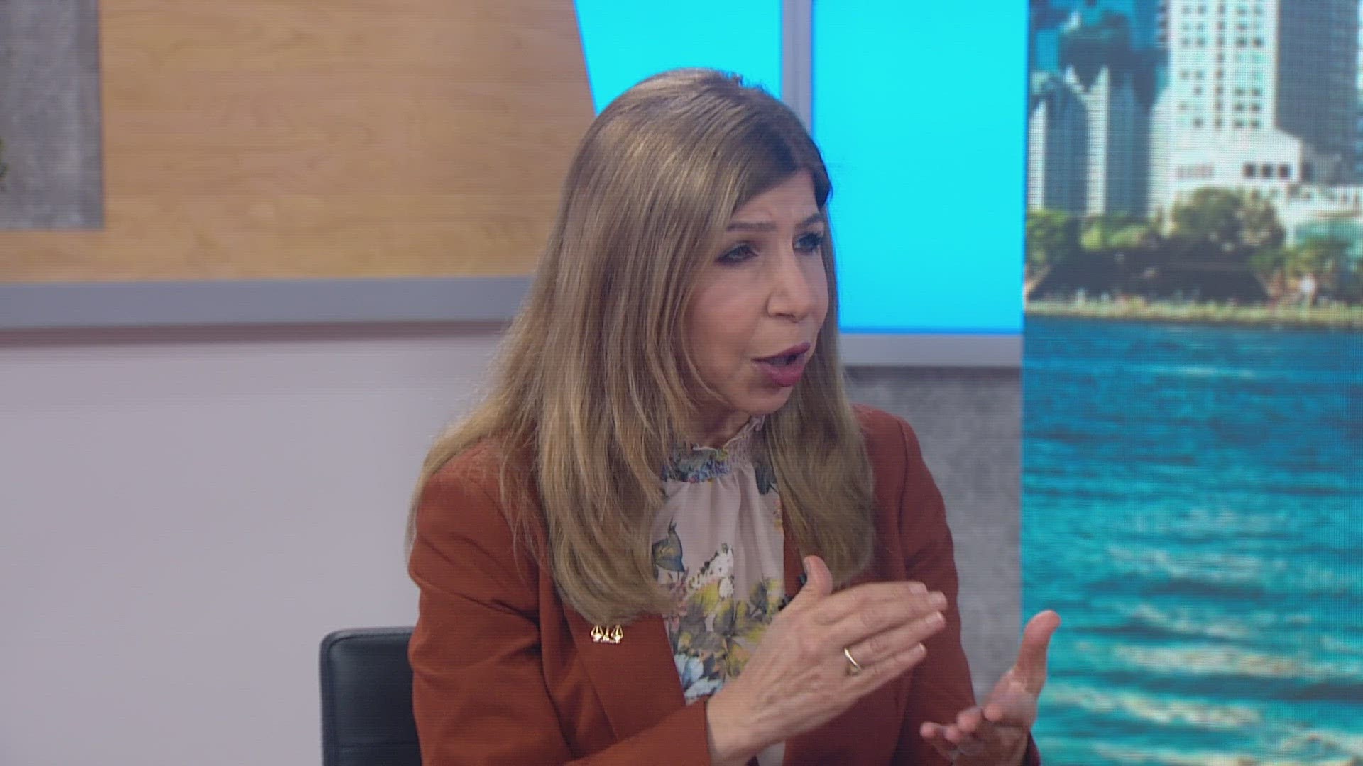 San Diego District Attorney Summer Stephan goes through the details of her office's 2022 crime prevention report.