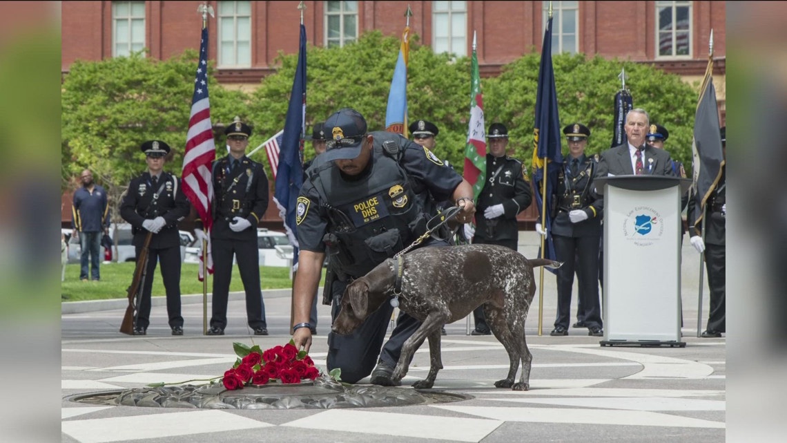 San Diego Police dog 'Sir' killed in line of duty will be honored at ...