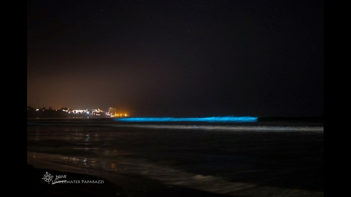 Bioluminescence Algae bloom lighting up San Diego waves at night