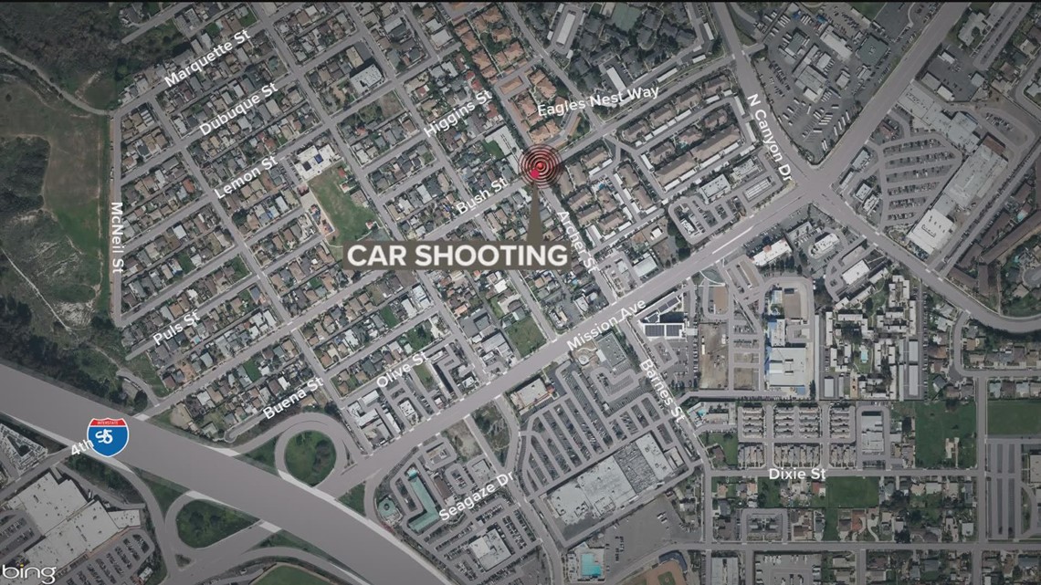 Woman in car shot and killed by pedestrian in Oceanside