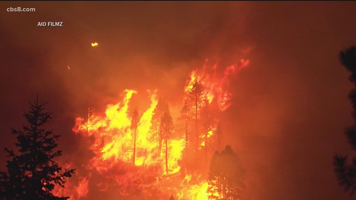 San Diegans at Caldor Fire: Man makes 500-mile drive from Tahoe, SD Humane Society rescuing animals fire's path - Vimarsana News
