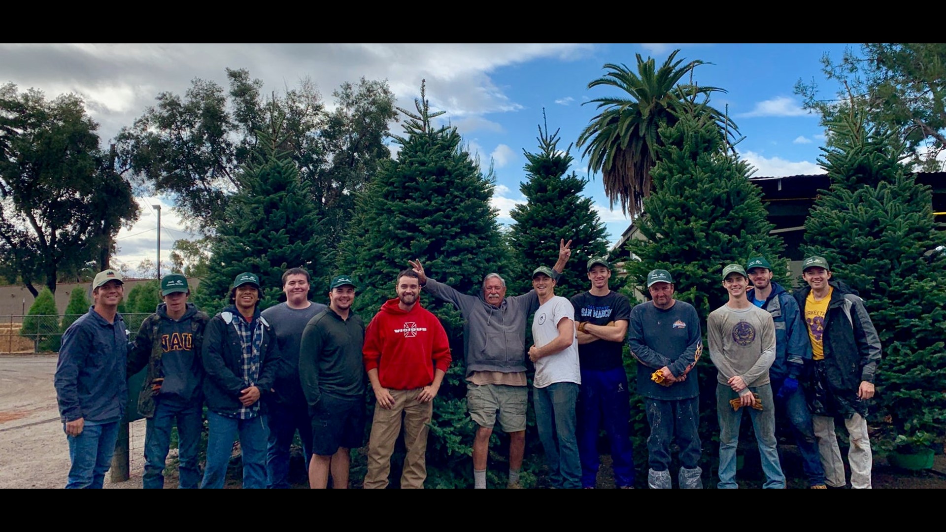 Out and About Family Christmas Tree Farm