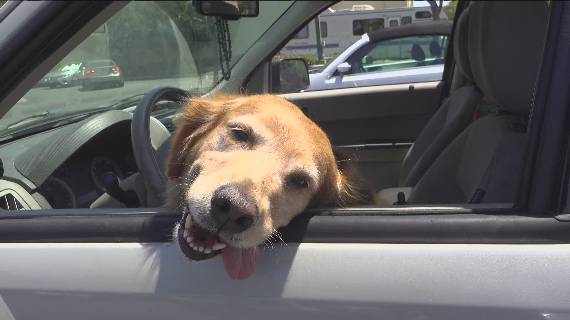 Project Street Vet and the San Diego Sheriff's Office collaborate to offer free vet care to those in need once a month in Oceanside.