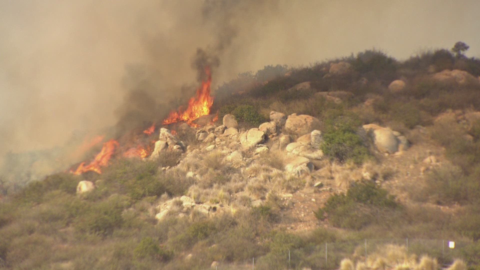 A brush fire broke out Thursday afternoon in the area of Palomar College in San Marcos.