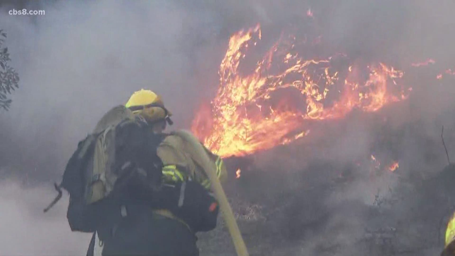Brush fire erupts in Clairemont Mesa