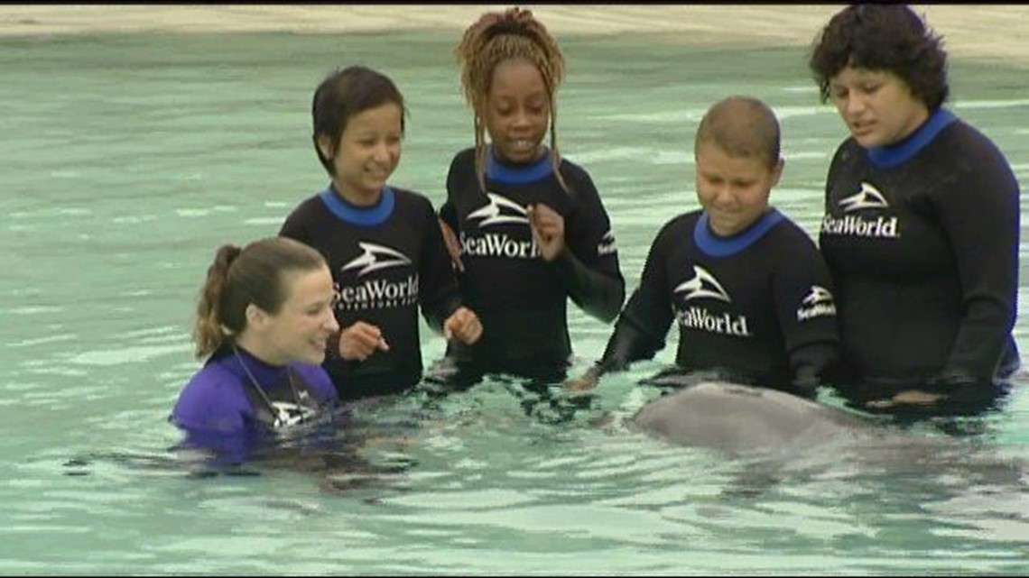 Dolphin trainer gives sick kids a big splash of hope