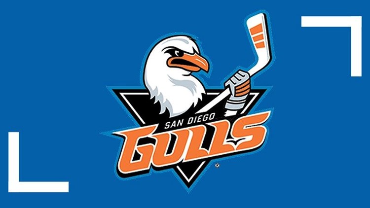 A dozen games with the rival San Diego Gulls await the Ontario Reign in  2017-18 – Press Enterprise