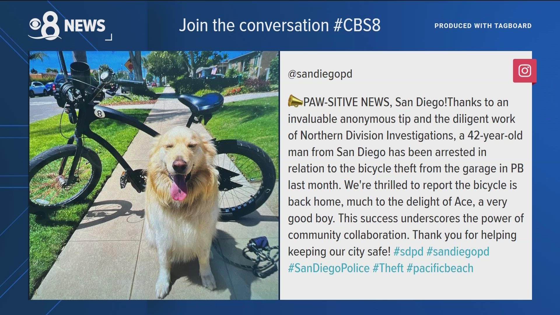 San Diego Police commend Ace, the golden retriever who greeted a bike thief in his family's garage.