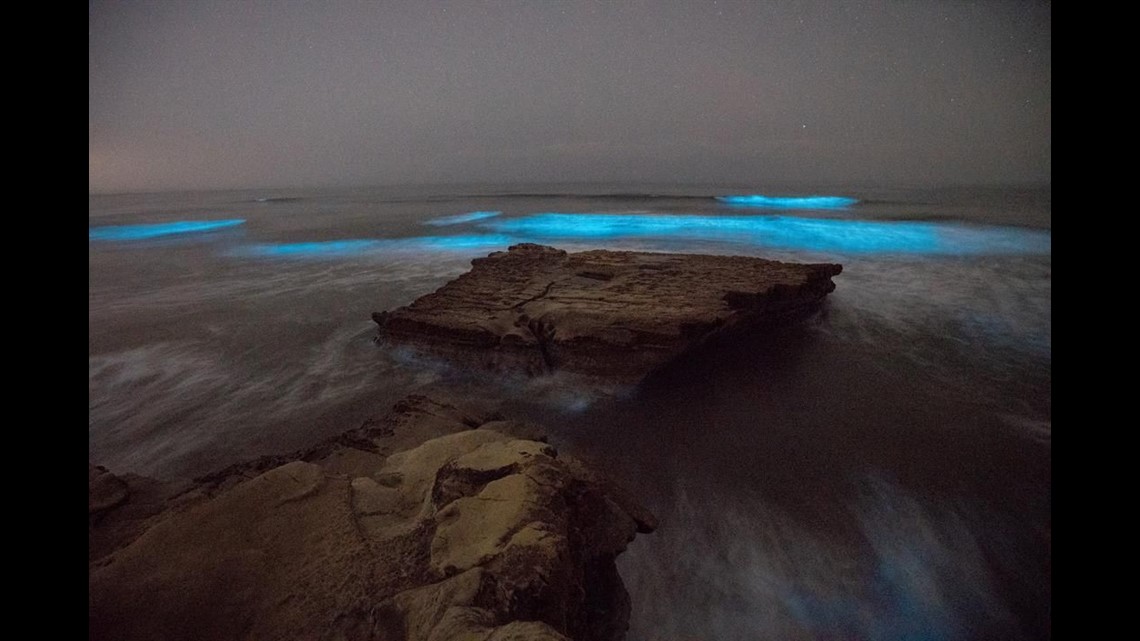Bioluminescence Algae bloom lighting up San Diego waves at night