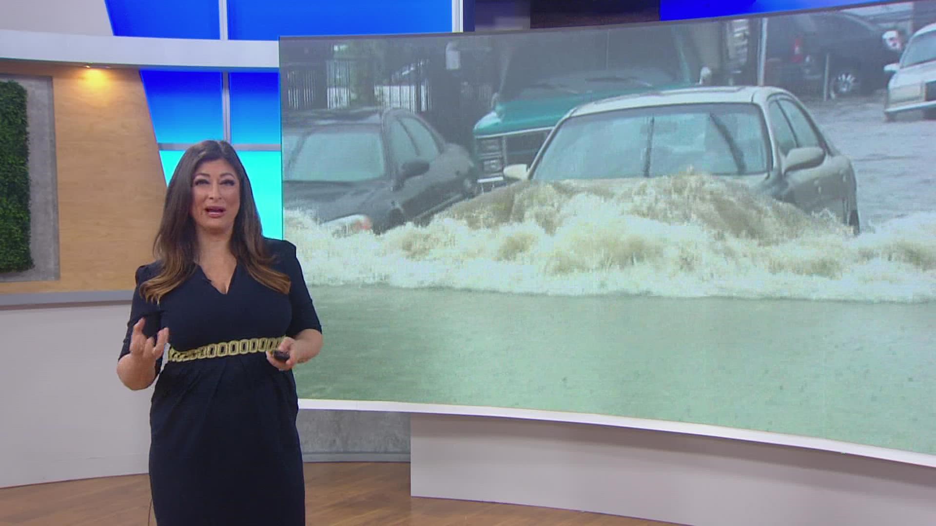Neda is hoping to inspire you to start collecting some of the rainwater that is falling all across San Diego. She gives tips on how you can capitalize on the rain.