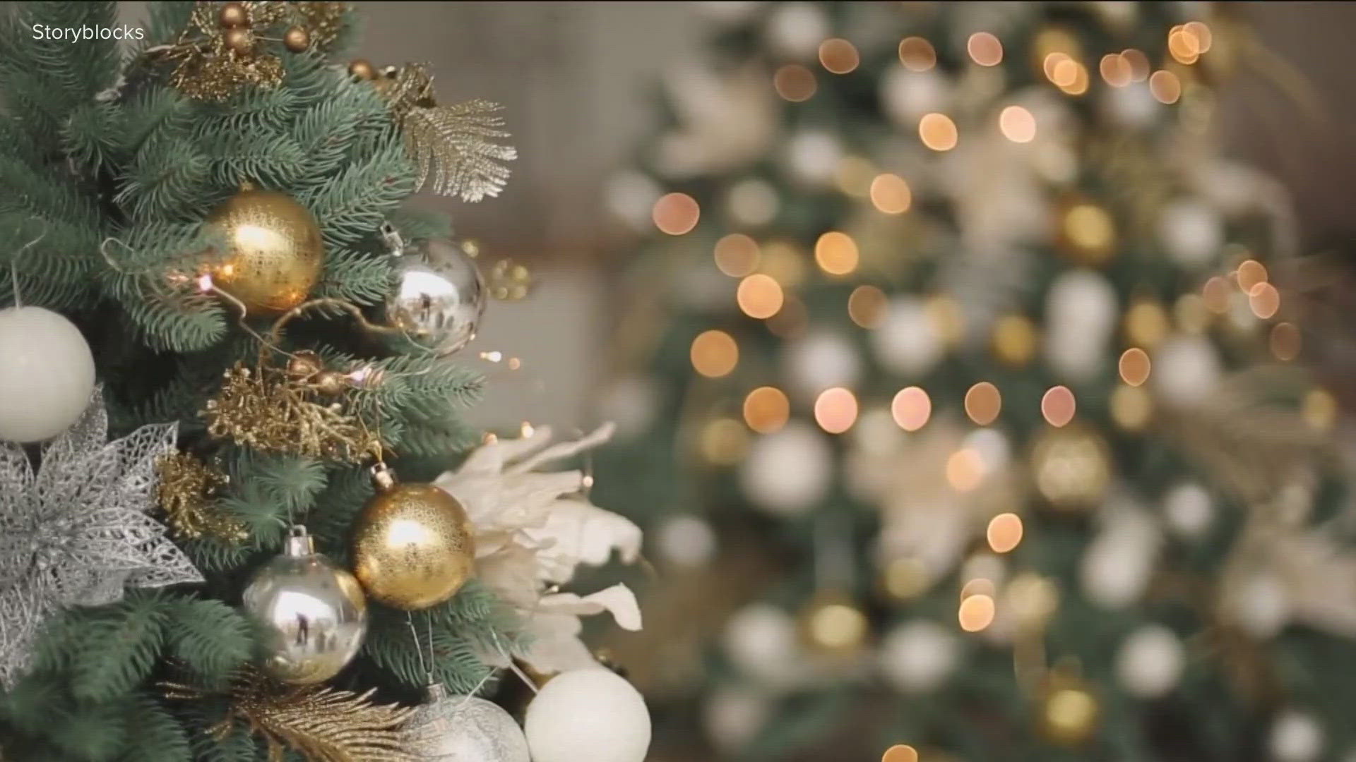 Can your Christmas tree make you sick? | cbs8.com