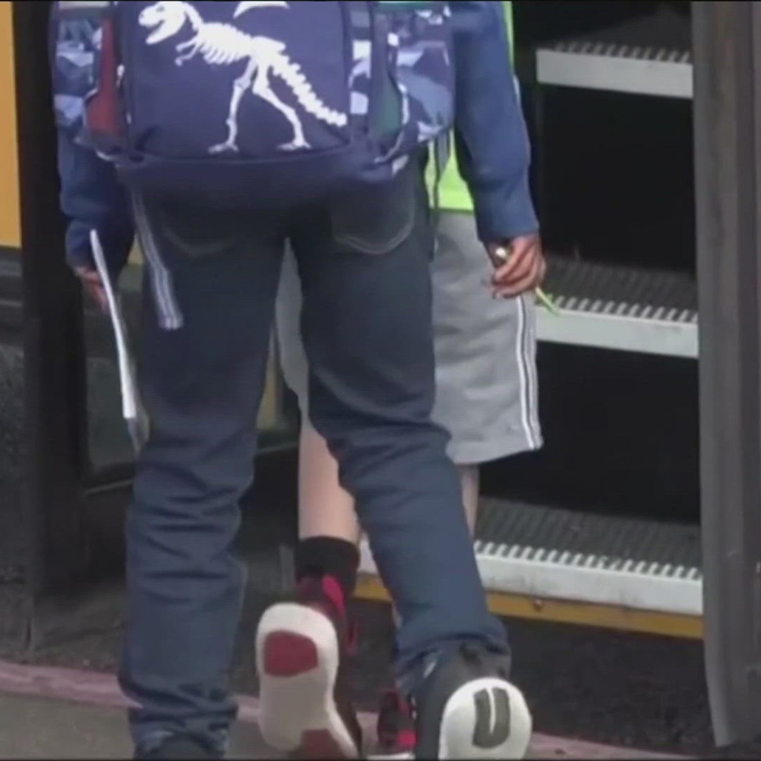 2026 New California Laws Declawing Cats Now Banned Unless Medically