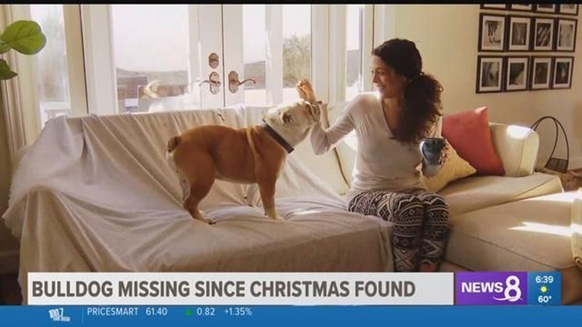FOUND: La Mesa bulldog missing since Christmas returns home | cbs8.com