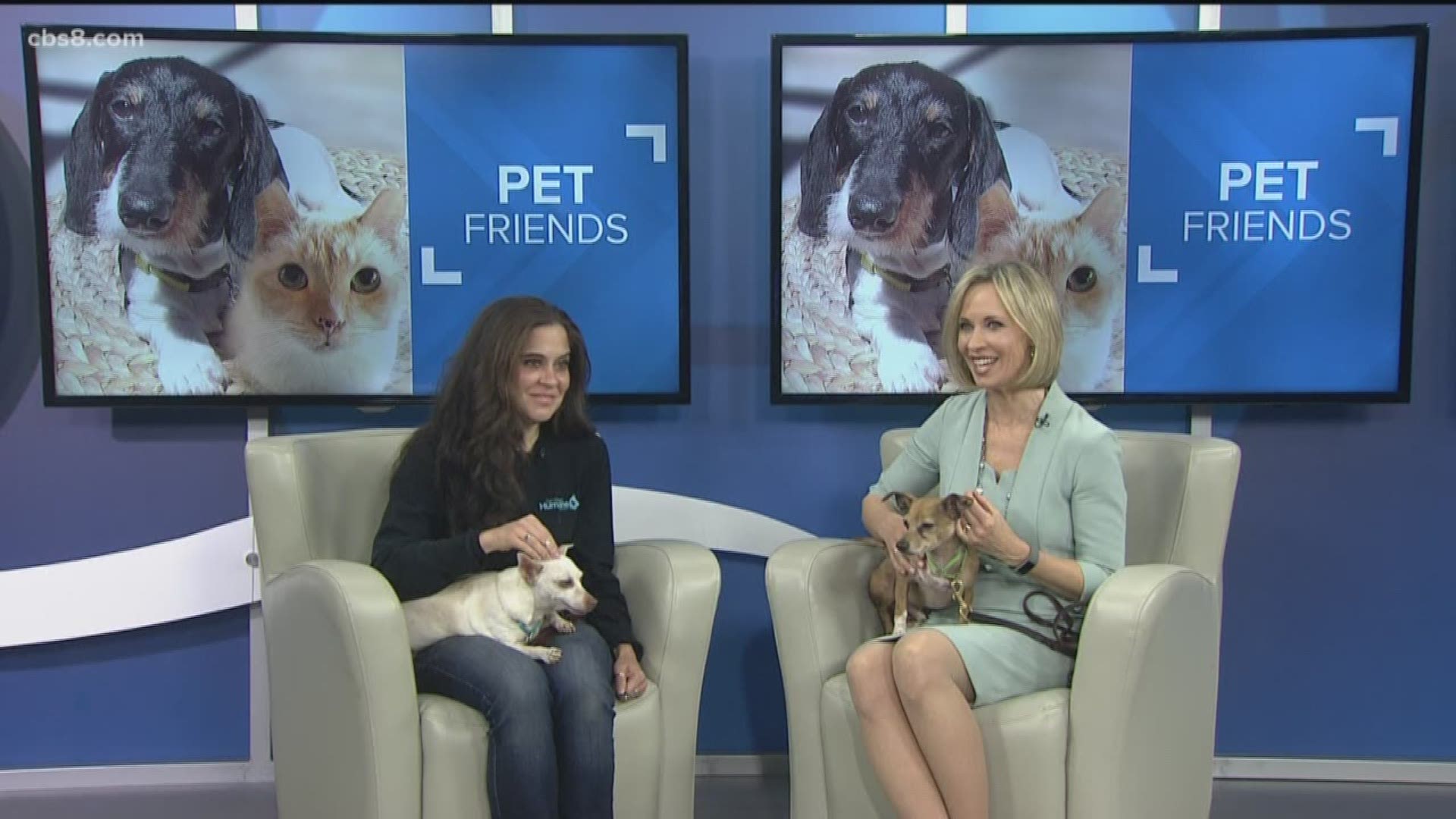 Chance and Nikki were brought into the San Diego Humane Society in early March and are now ready to find a new home.