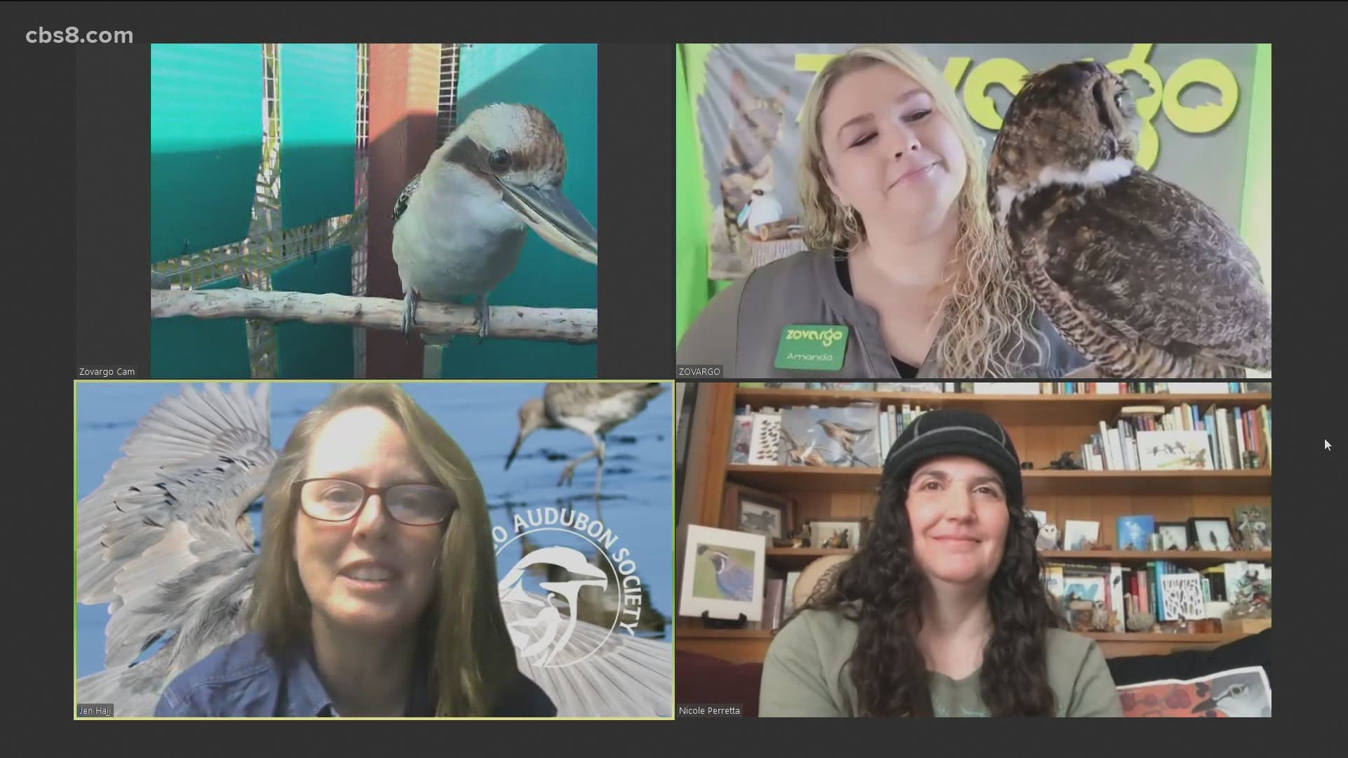 Jen Hajj, Amanda Plante & Nicole Perretta joined Morning Extra to talk about the festival and to have fun with different bird calls.