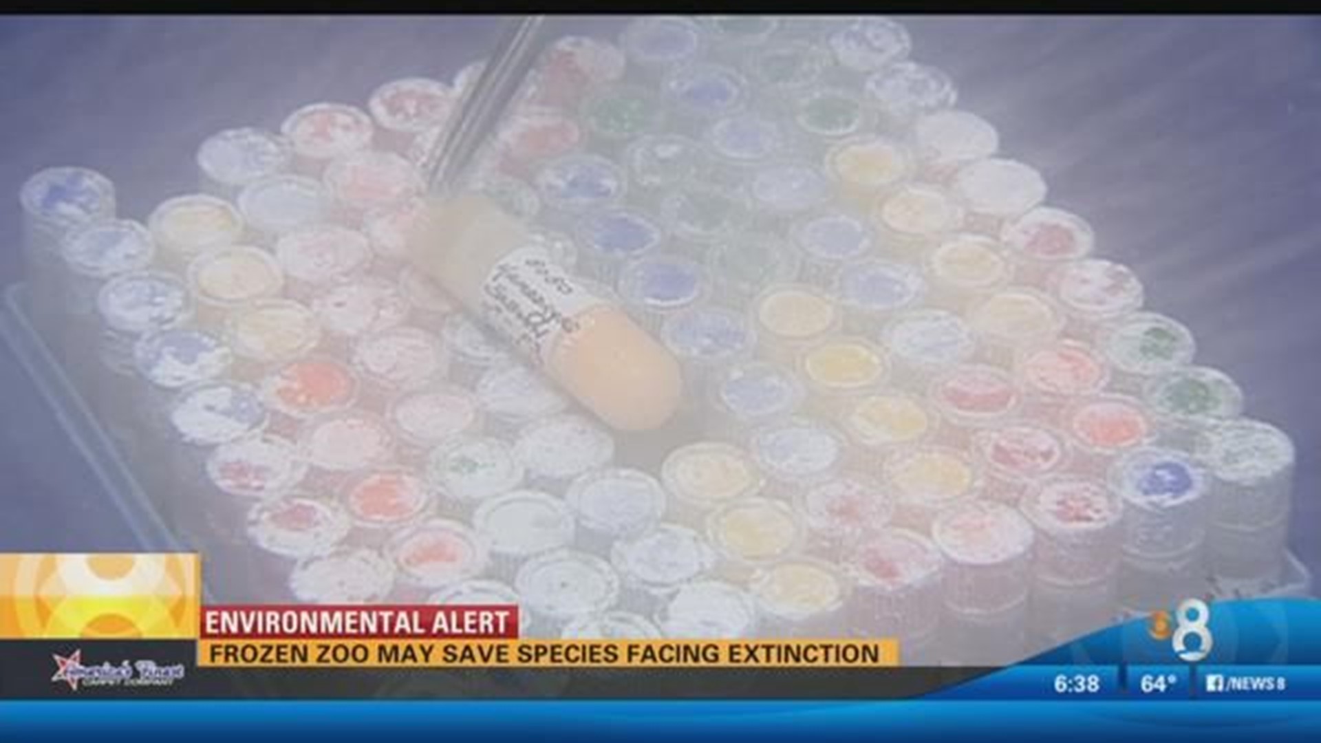 Scientists build 'frozen zoo