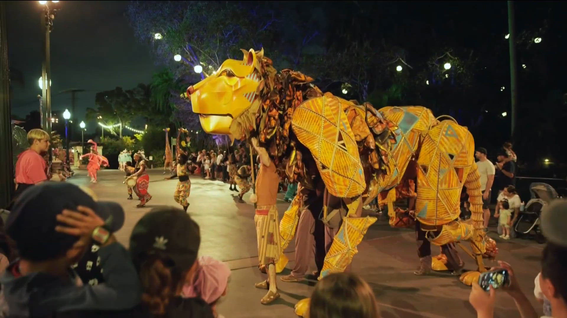 'Nighttime Zoo' comes to an end | cbs8.com