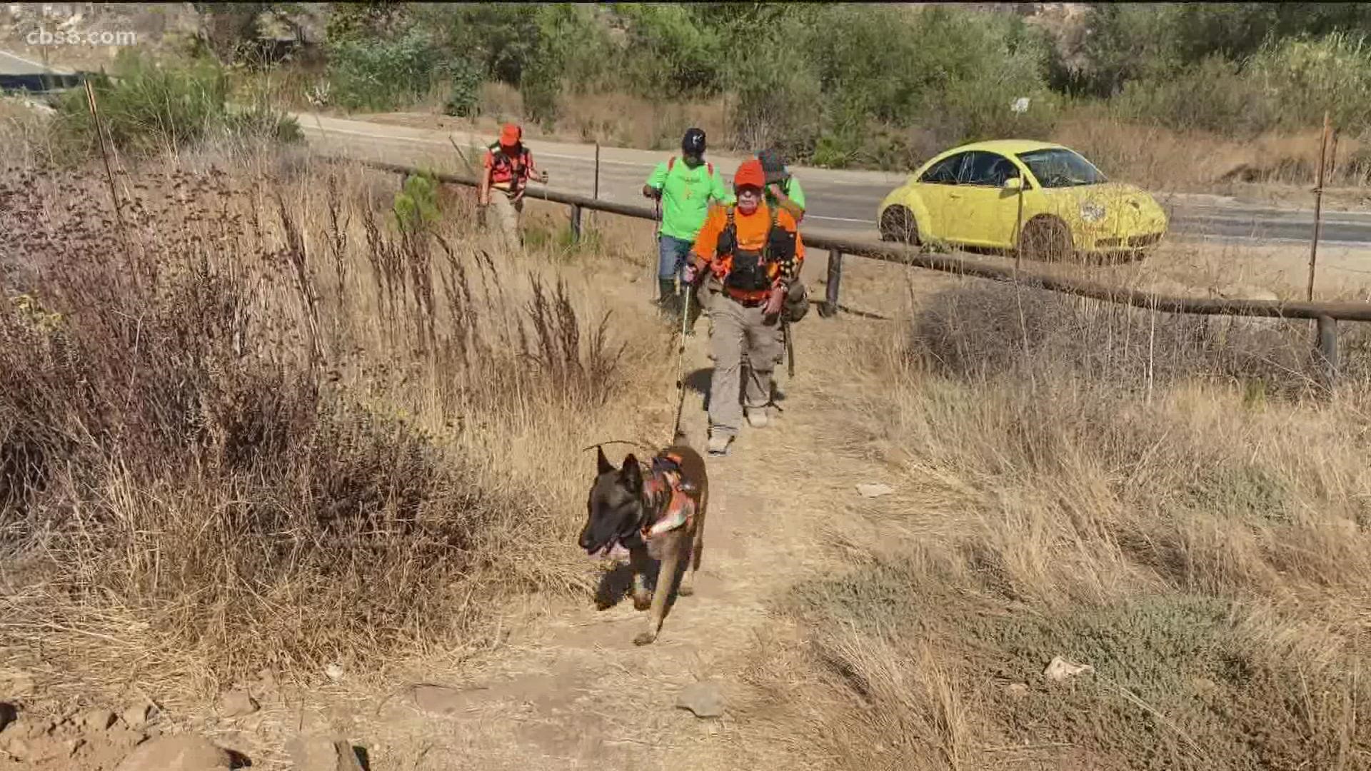 This was the first time Team Maya has used canines to search for remains of the missing mother.